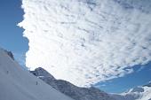 17- pecorelle in arrivo 